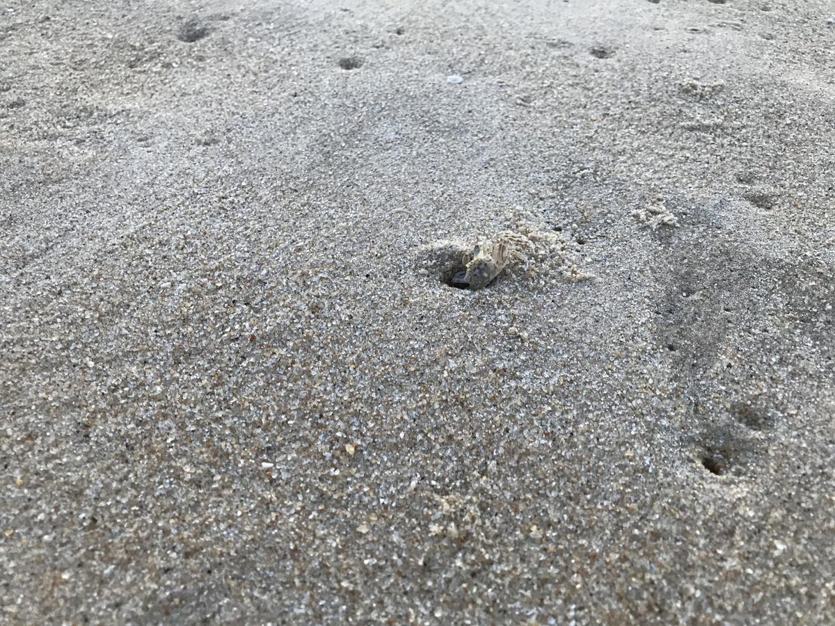 ארוגם Starfish Beach Bungalows מראה חיצוני תמונה
