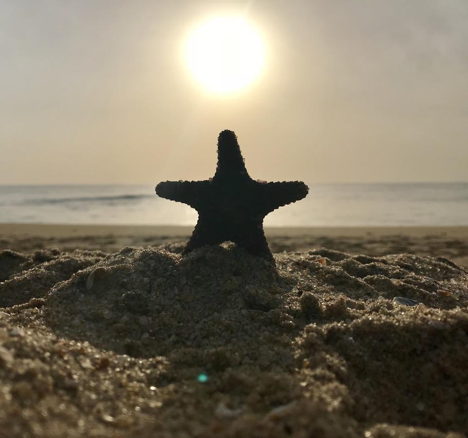 ארוגם Starfish Beach Bungalows מראה חיצוני תמונה